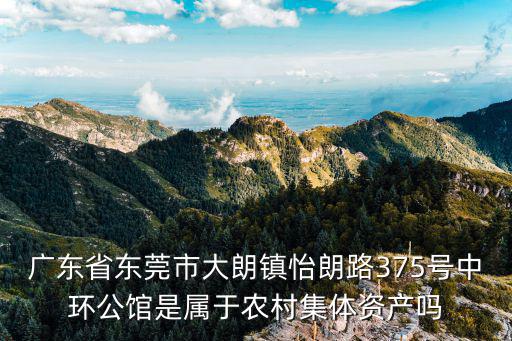 廣東省東莞市大朗鎮(zhèn)怡朗路375號中環(huán)公館是屬于農(nóng)村集體資產(chǎn)嗎
