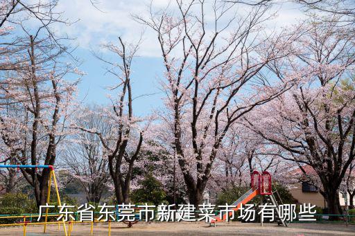 廣東省東莞市新建菜市場有哪些