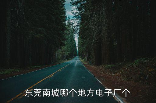 東莞南城哪個地方電子廠個