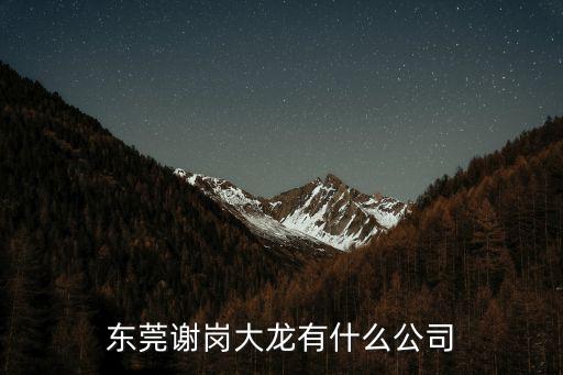 東莞謝崗大龍有什么公司