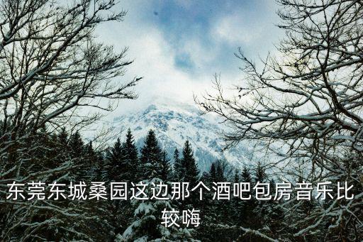 東莞東城桑園這邊那個酒吧包房音樂比較嗨