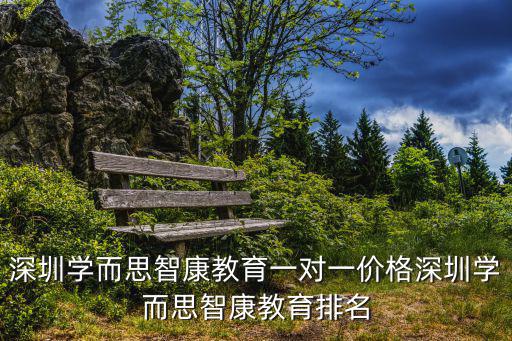 深圳學而思智康教育一對一價格深圳學而思智康教育排名