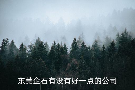 東莞企石有沒有好一點的公司