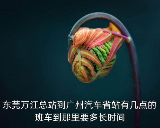 東莞萬江總站到廣州，東莞萬江總站到廣州汽車省站有幾點的班車到那里要多長時間