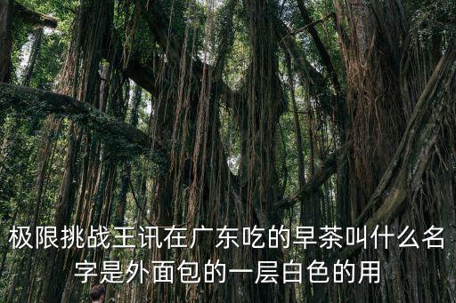 極限挑戰王訊在廣東吃的早茶叫什么名字是外面包的一層白色的用