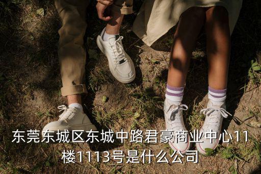 東莞東城區東城中路君豪商業中心11樓1113號是什么公司