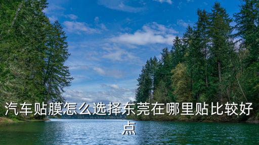 汽車貼膜怎么選擇東莞在哪里貼比較好點