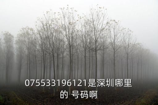 075533196121是深圳哪里的 號碼啊