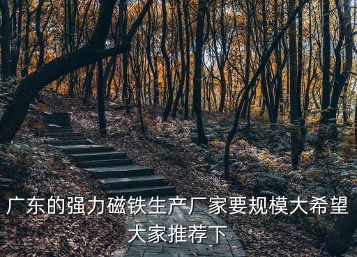 廣東的強力磁鐵生產(chǎn)廠家要規(guī)模大希望大家推薦下