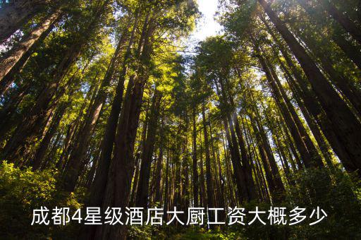 成都4星級酒店大廚工資大概多少