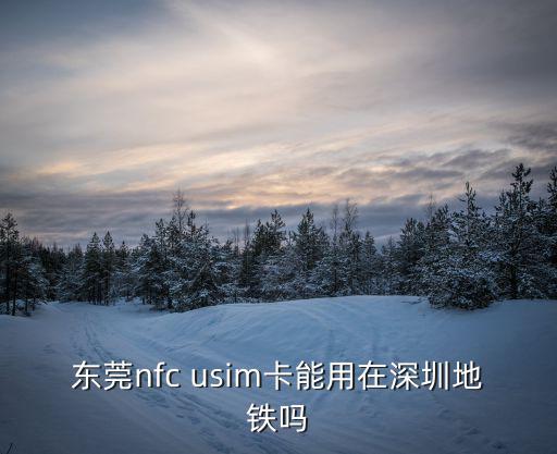 東莞nfc usim卡能用在深圳地鐵嗎