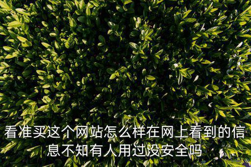 看準買這個網站怎么樣在網上看到的信息不知有人用過沒安全嗎