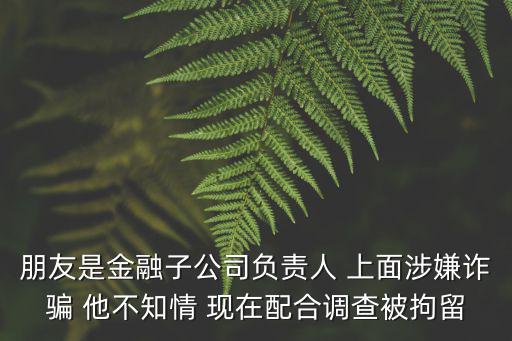 朋友是金融子公司負責人 上面涉嫌詐騙 他不知情 現在配合調查被拘留