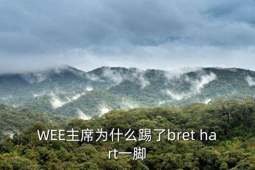 WEE主席為什么踢了bret hart一腳