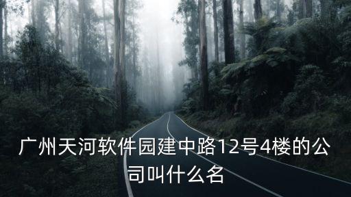 廣州市廣智科圖軟件有限公司，我們公司是做美容美發連鎖店的想做一款發型設計的軟件廣州哪家