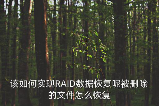 深圳raid數據恢復，RAID1數據恢復