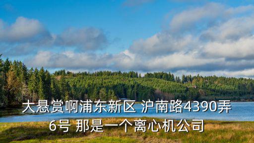 大懸賞啊浦東新區 滬南路4390弄6號 那是一個離心機公司