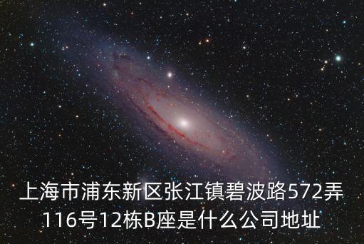 上海市浦東新區張江鎮碧波路572弄116號12棟B座是什么公司地址