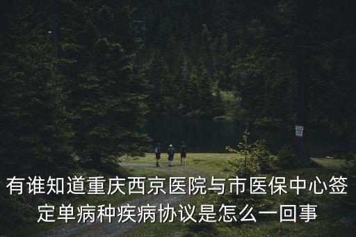 有誰知道重慶西京醫院與市醫保中心簽定單病種疾病協議是怎么一回事
