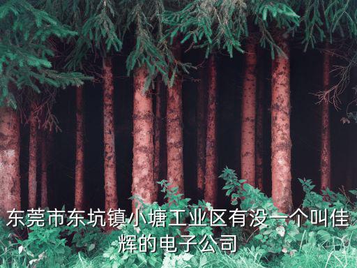 東莞市東坑鎮小塘工業區有沒一個叫佳輝的電子公司