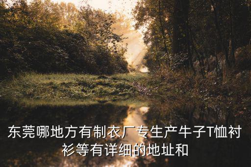 東莞哪地方有制衣廠專生產(chǎn)牛子T恤襯衫等有詳細(xì)的地址和