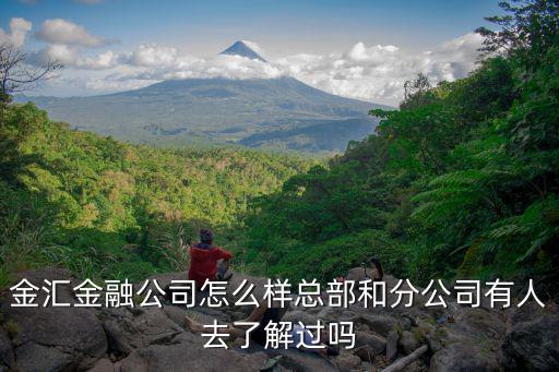金匯金融公司怎么樣總部和分公司有人去了解過(guò)嗎