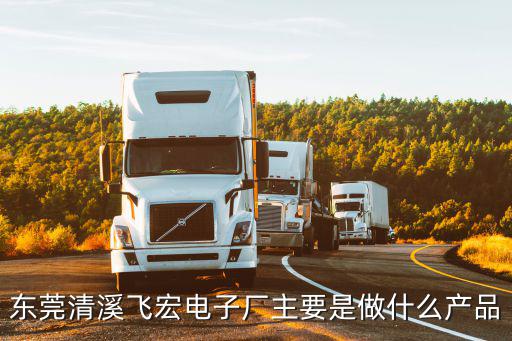 東莞清溪飛宏電子廠主要是做什么產(chǎn)品