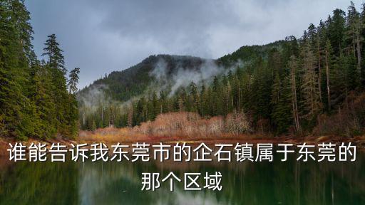 誰能告訴我東莞市的企石鎮屬于東莞的那個區域