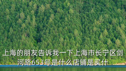 上海的朋友告訴我一下上海市長寧區劍河路653號是什么店鋪是買什