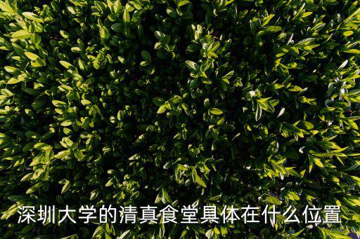 深圳大學的清真食堂具體在什么位置