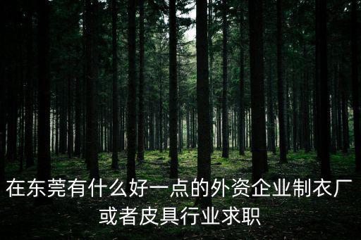 在東莞有什么好一點的外資企業(yè)制衣廠或者皮具行業(yè)求職