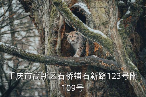 重慶市高新區石橋鋪石新路123號附109號