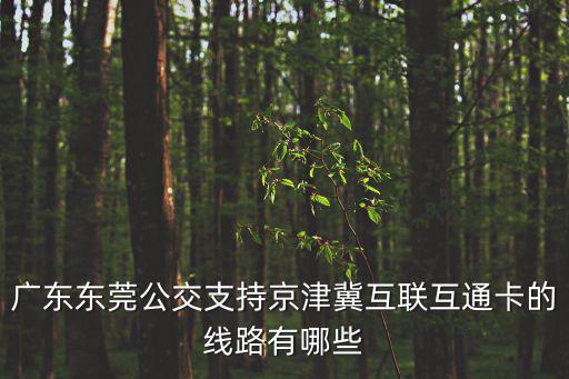廣東東莞公交支持京津冀互聯互通卡的線路有哪些