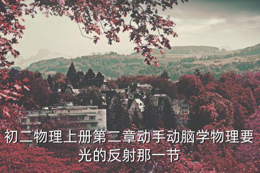 初二物理上冊第二章動手動腦學物理要光的反射那一節