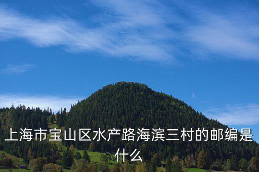 上海市寶山區水產路海濱三村的郵編是什么