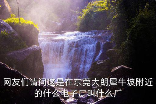 網(wǎng)友們請問這是在東莞大朗犀牛坡附近的什么電子廠叫什么廠