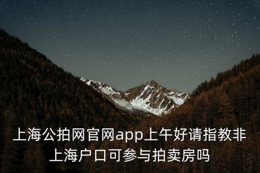 上海市商鋪拍賣(mài)信息查詢(xún)，上海法院拍賣(mài)公告哪里可以看到