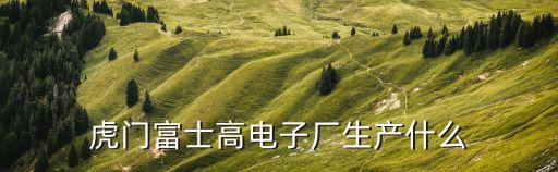 虎門富士高電子廠生產什么