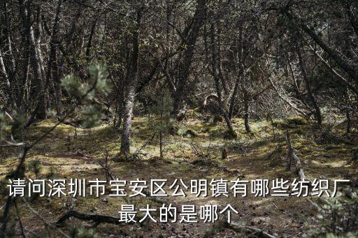 請(qǐng)問(wèn)深圳市寶安區(qū)公明鎮(zhèn)有哪些紡織廠最大的是哪個(gè)