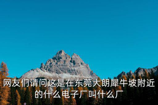 網友們請問這是在東莞大朗犀牛坡附近的什么電子廠叫什么廠