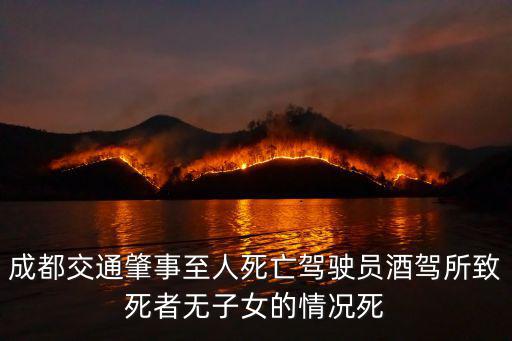 成都交通肇事至人死亡駕駛員酒駕所致死者無子女的情況死