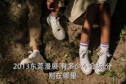 2013東莞漫展 有多少個會場 分別在哪里