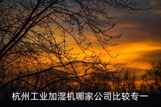 杭州工業加濕機哪家公司比較專一