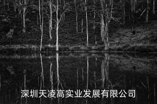 深圳天凌高實業發展有限公司