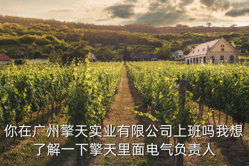你在廣州擎天實業有限公司上班嗎我想了解一下擎天里面電氣負責人