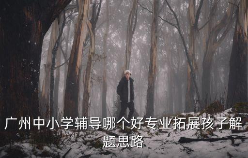 廣州中小學(xué)輔導(dǎo)哪個(gè)好專業(yè)拓展孩子解題思路