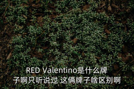RED Valentino是什么牌子啊只聽說過 這倆牌子啥區(qū)別啊