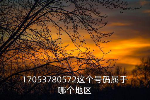 17053780572這個號碼屬于哪個地區