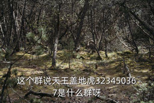 這個群說天王蓋地虎323450367是什么群呀