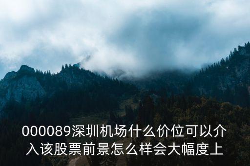 000089深圳機場什么價位可以介入該股票前景怎么樣會大幅度上